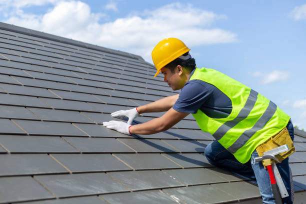 Best Tile Roofing Contractor  in Detroit Beach, MI