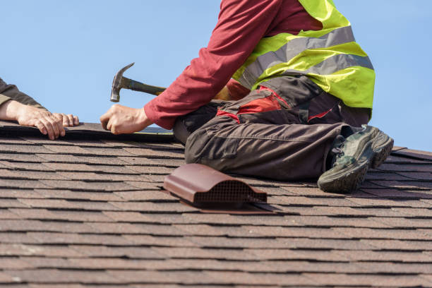 Best Roof Leak Repair  in Detroit Beach, MI