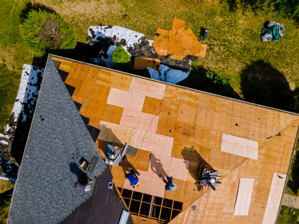 Best Best Roofing Contractors  in Detroit Beach, MI