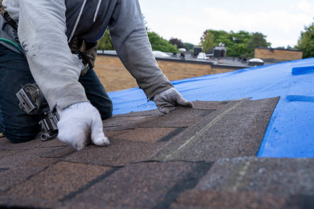 Best Best Roofing Contractors  in Detroit Beach, MI