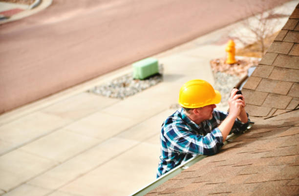 Best Roof Leak Repair  in Detroit Beach, MI