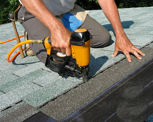 Best Storm Damage Roof Repair  in Detroit Beach, MI
