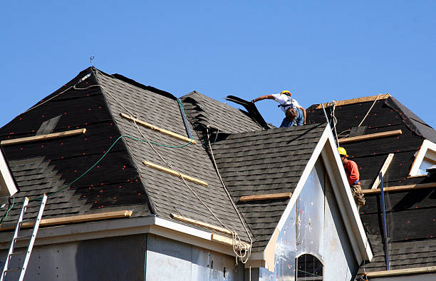 Best Local Roofing Companies  in Detroit Beach, MI