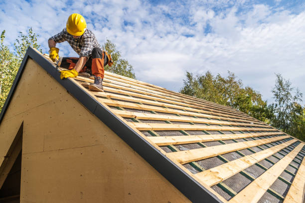 Best Slate Roofing Contractor  in Detroit Beach, MI