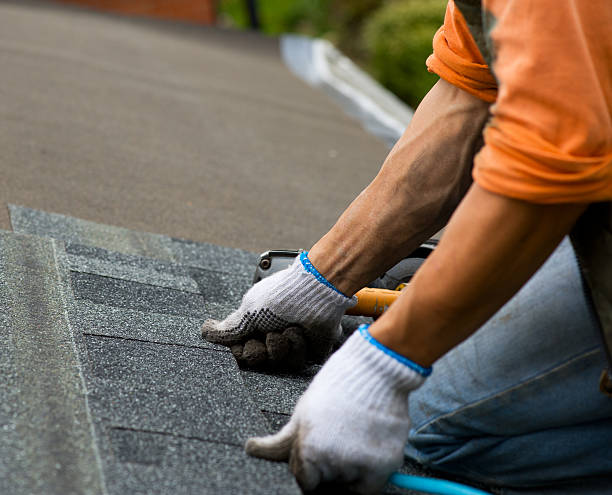 Slate Roofing Contractor in Detroit Beach, MI