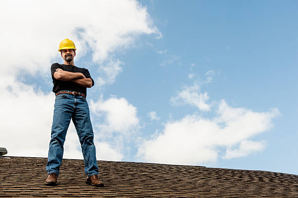 Best Emergency Roof Repair  in Detroit Beach, MI