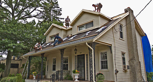 Best Roof Gutter Cleaning  in Detroit Beach, MI