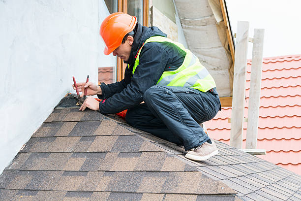 Best Commercial Roofing Services  in Detroit Beach, MI
