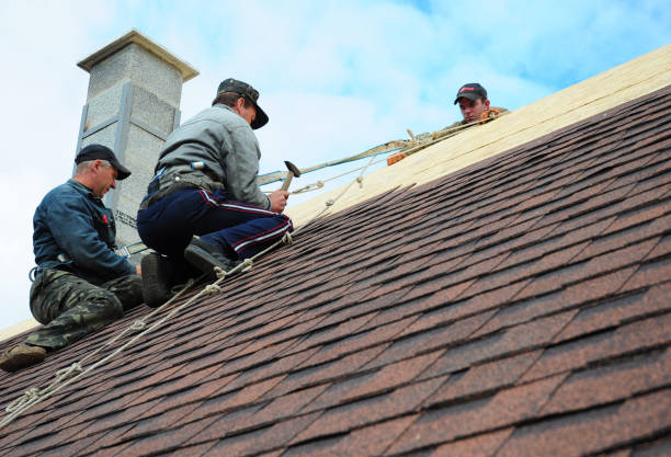 Best Tile Roofing Contractor  in Detroit Beach, MI