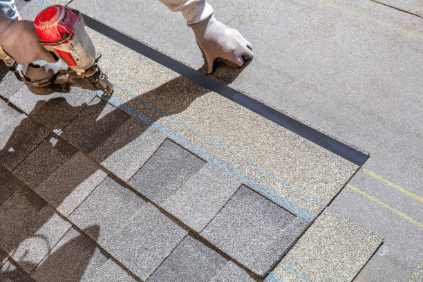 Best Metal Roofing Contractor  in Detroit Beach, MI